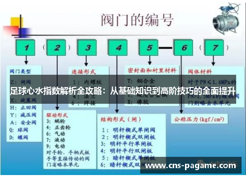 足球心水指数解析全攻略：从基础知识到高阶技巧的全面提升